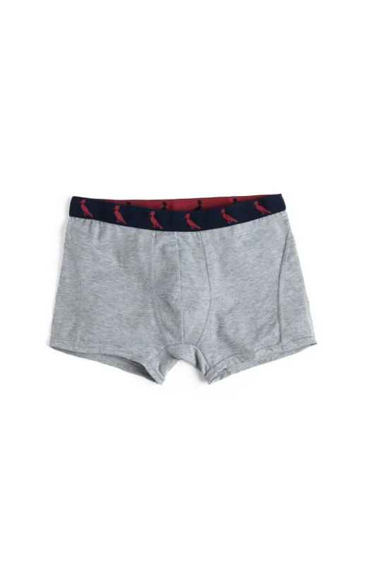 Cueca Boxer Basico Colorido - RESERVA