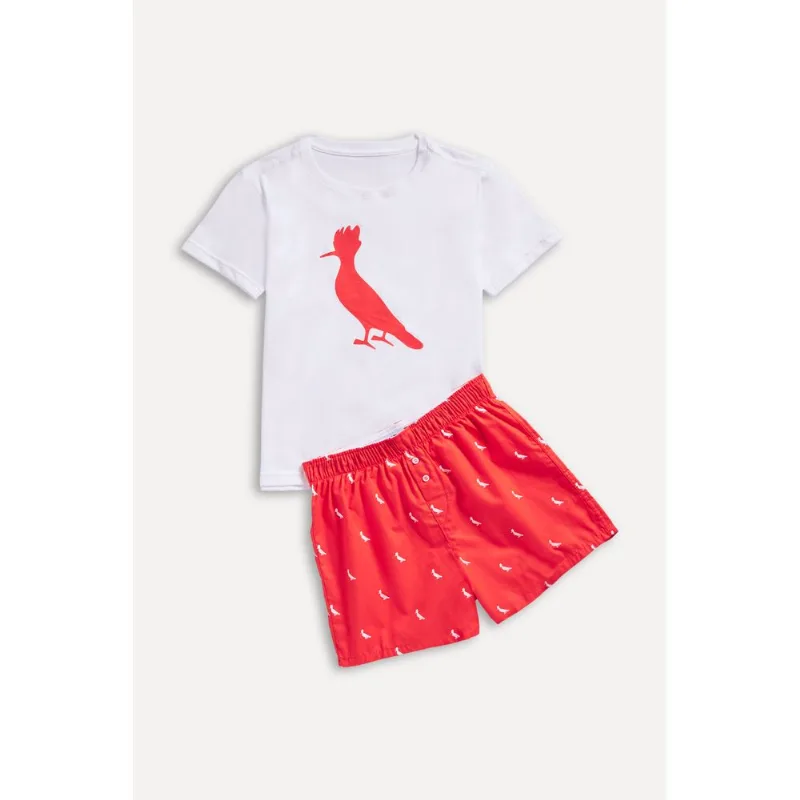 Pijama Mini Samba Cancao Pica Paus Vermelho - 14