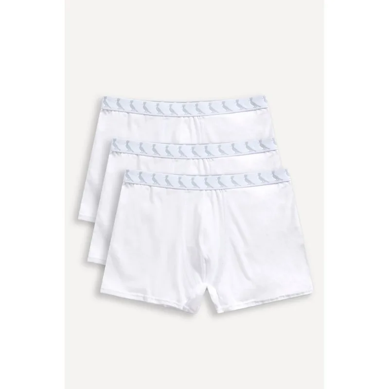 Kit 3 Cuecas Boxer Pica Pau Monocromatic Branco/Branco/Branco - P