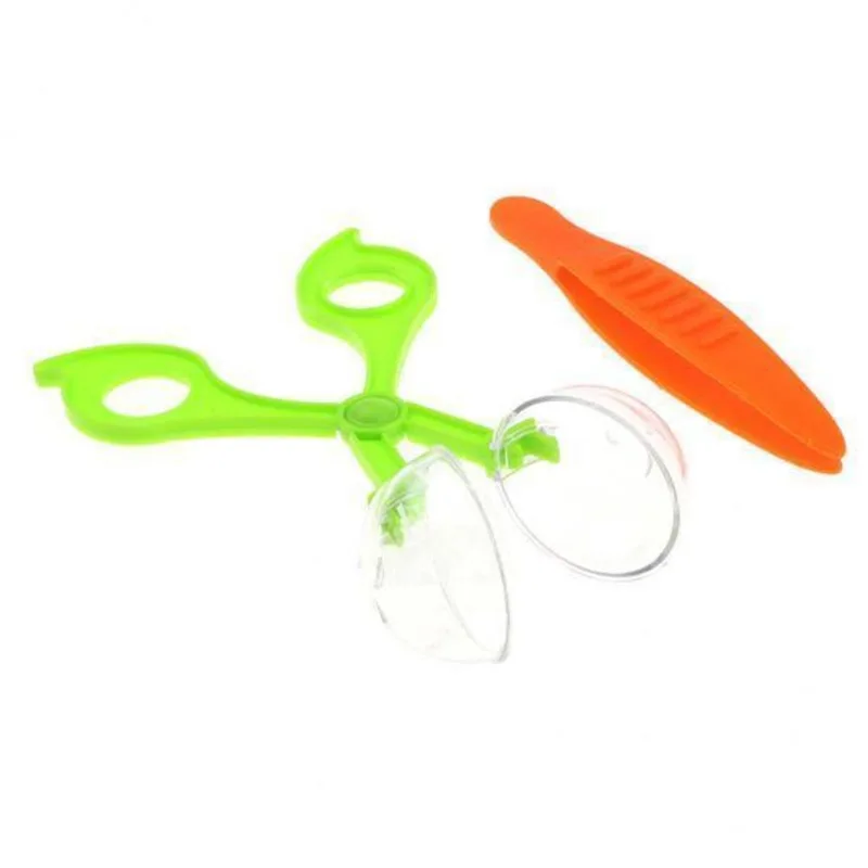 3xkids Nature Explore Kit De Brinquedo Pinça De Braçadeira De Tesoura Inseto