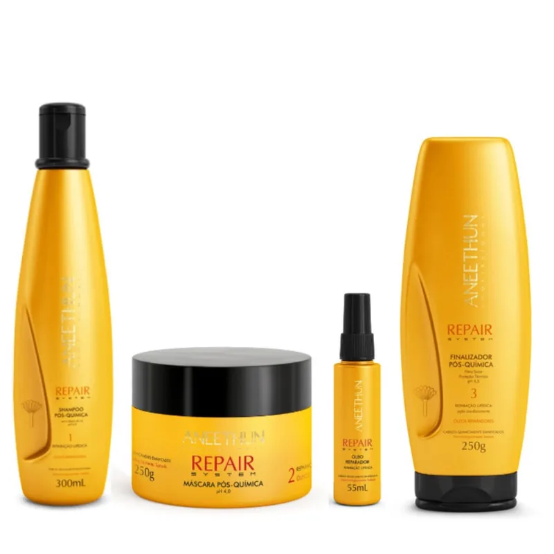 Kit Aneethun Repair System sh + Mask + Óleo Rep + Finalizador