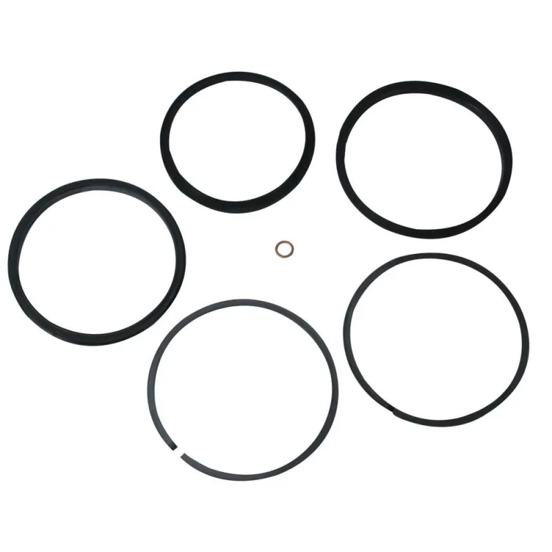 Kit de reparo para cilindro RCS-502 RCS502K - ENERPAC - ENERPAC