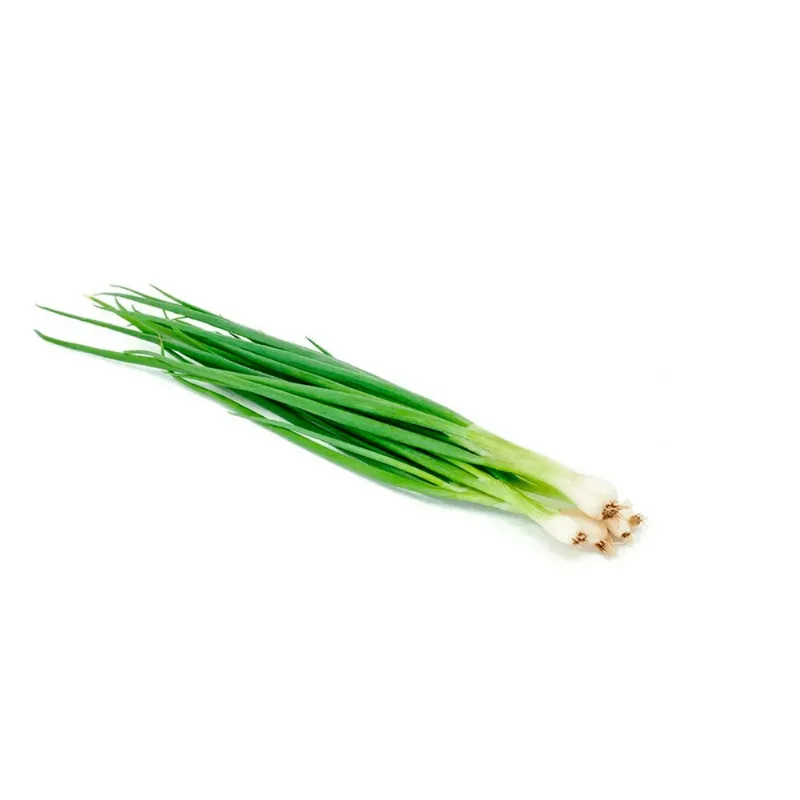 CEBOLINHA FOLHAS DE MINAS UN