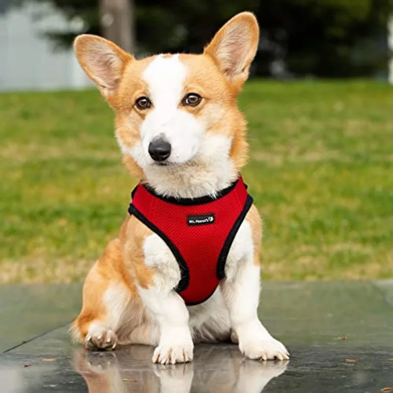 Mr. Peanut's PupTrek Pequeno Cão/Gato Malha Macia Passo em Harne