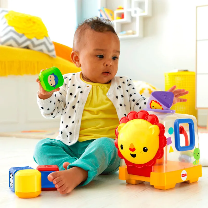 Box de Atividades - Leãozinho Amigos da Floresta - Fisher-Price