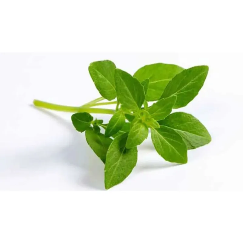 Ervas Org Frs Jardim-Ervas R145 Manj Vde