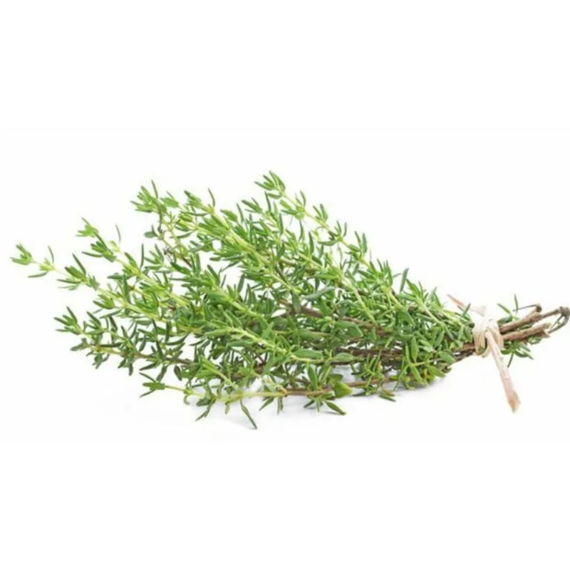Ervas Org Frs Jardim-Ervas R145 Tomilho