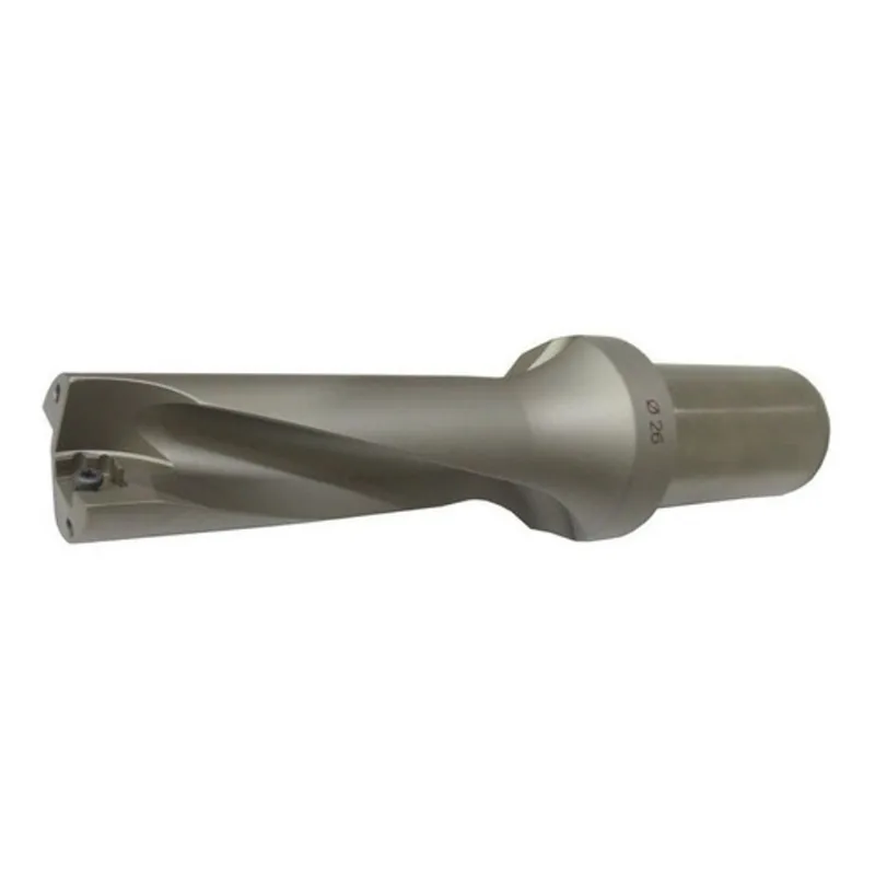 CN BAUD BOLINHO ROLL 34G