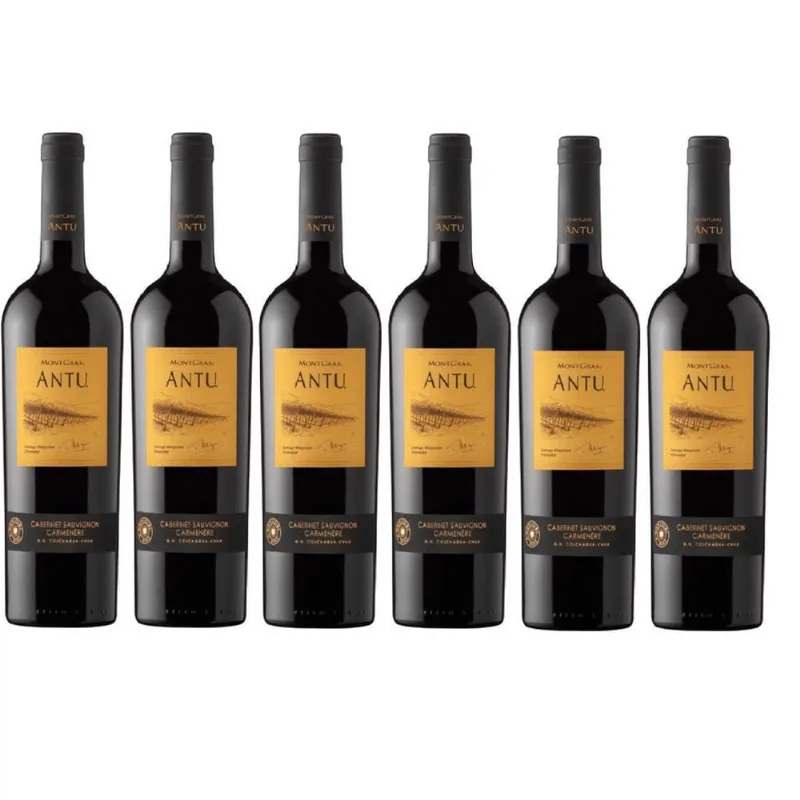 Kit 6 Vinho Montgras Antu Cabernet Sauvignon E Carmenére Tt