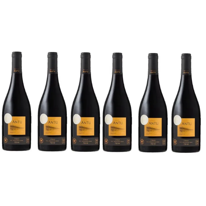 Kit 6 Vinho Chileno Tinto Syrah Montgras Antu 750Ml