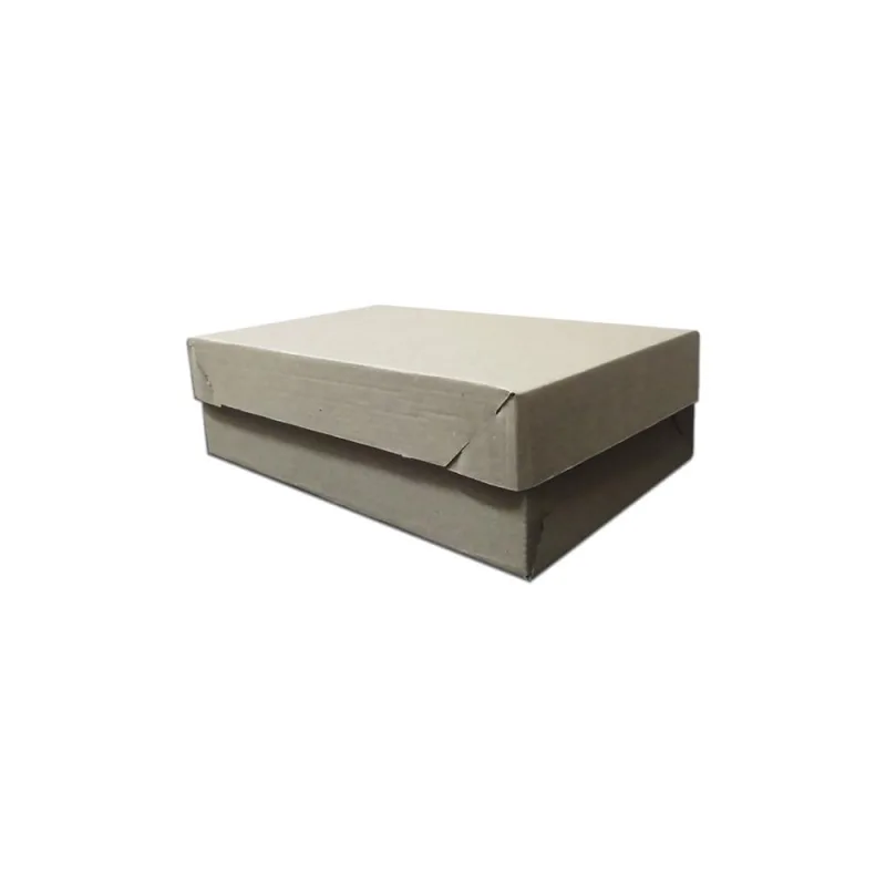 Kit 50 Caixas Papelão Correios Embalagem Presente 22X15X9 Cm - Não Disponível