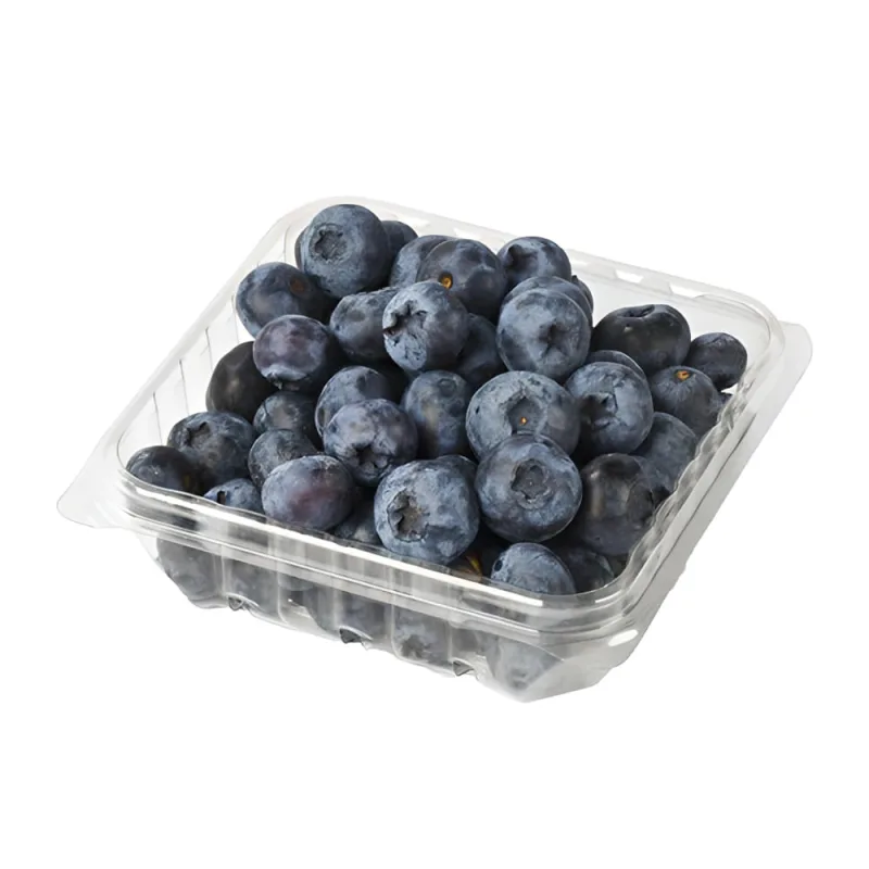 Blueberry Bravis Mirtilos 125g - BRAVIS