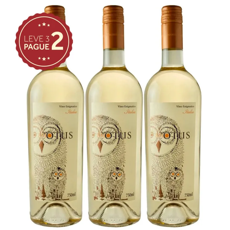 Vinho Branco Italiano Asio Otus 750ml Leve 3 Pague 2 KIT PRONTO - Asio Otus
