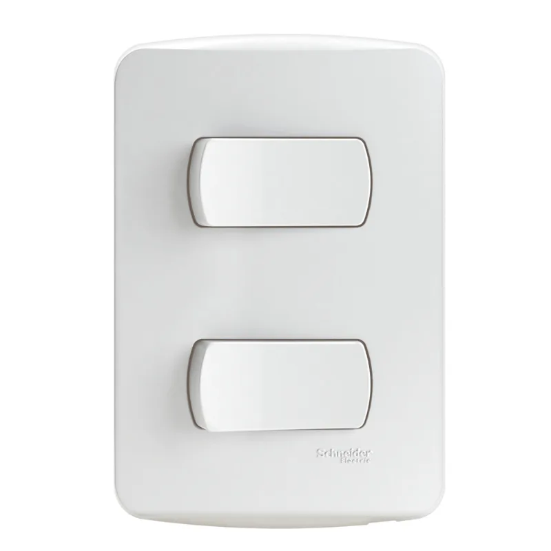Conjunto Miluz 2 Interruptores Simples 10a Schneider