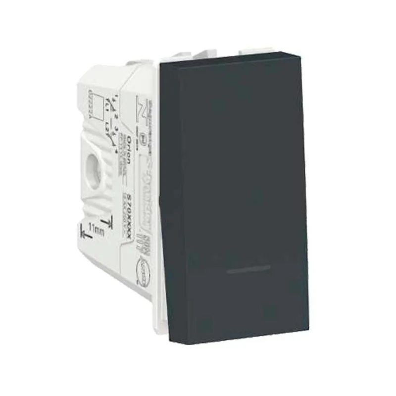 Módulo interruptor bipolar paralelo 10A 250V 1 módulo grafite Schneider