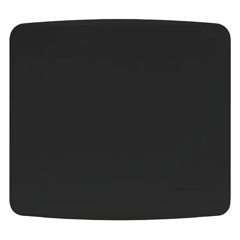Placa Miluz 4x4 Cega Com Suporte Preta Schneider