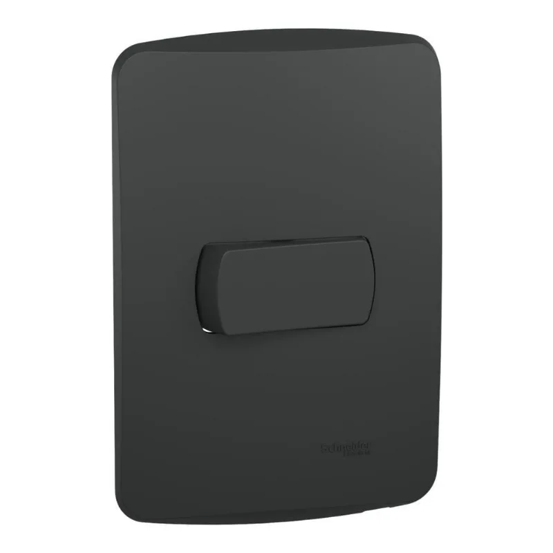 Conjunto Placa Horizontal 2x4 com Interruptor Paralelo 10A Montagem Faceada Grafite Schneider