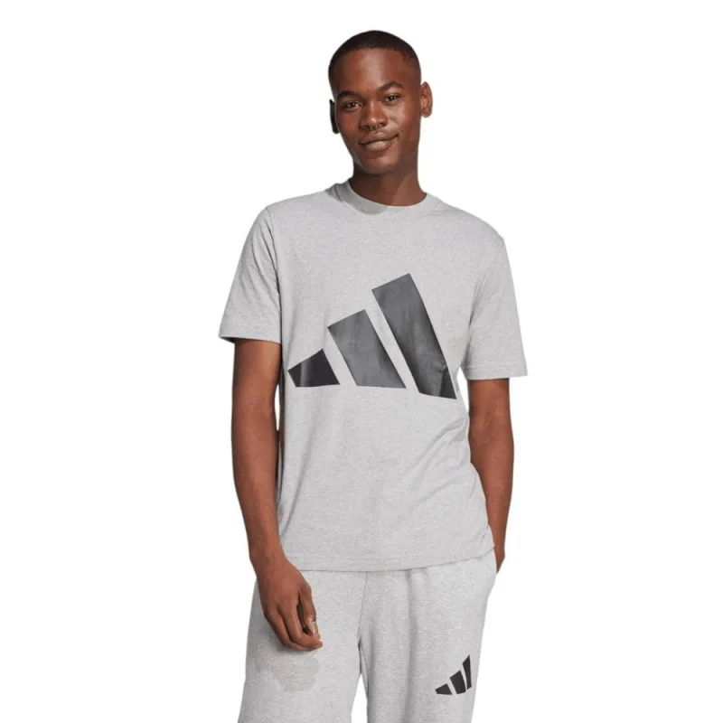 Camiseta Adidas Big Logo Masculina - Adidas