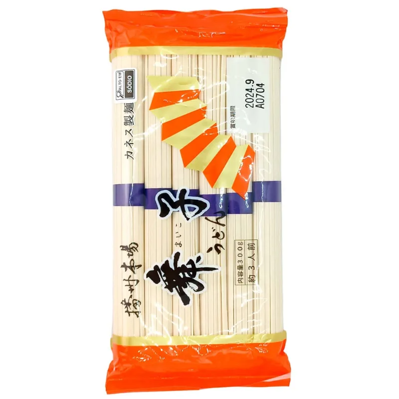 Macarrão Importado Udon 300g