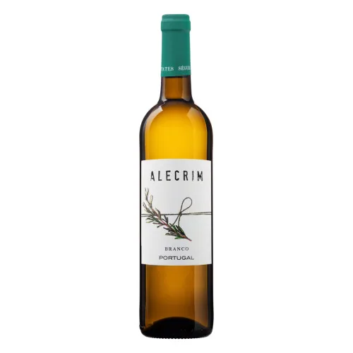 VINHO PORTUGUÊS BRANCO SECO ALECRIM LISBOA GARRAFA 750ML - ALECRIM