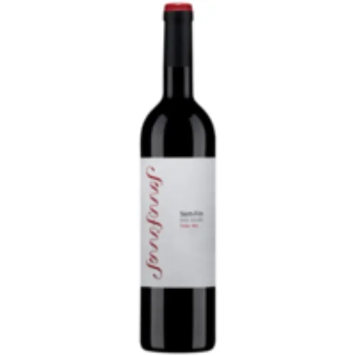 VINHO PORTUGUÊS TINTO DOURO SEM FIM GARRAFA 750ML - NACIONAL