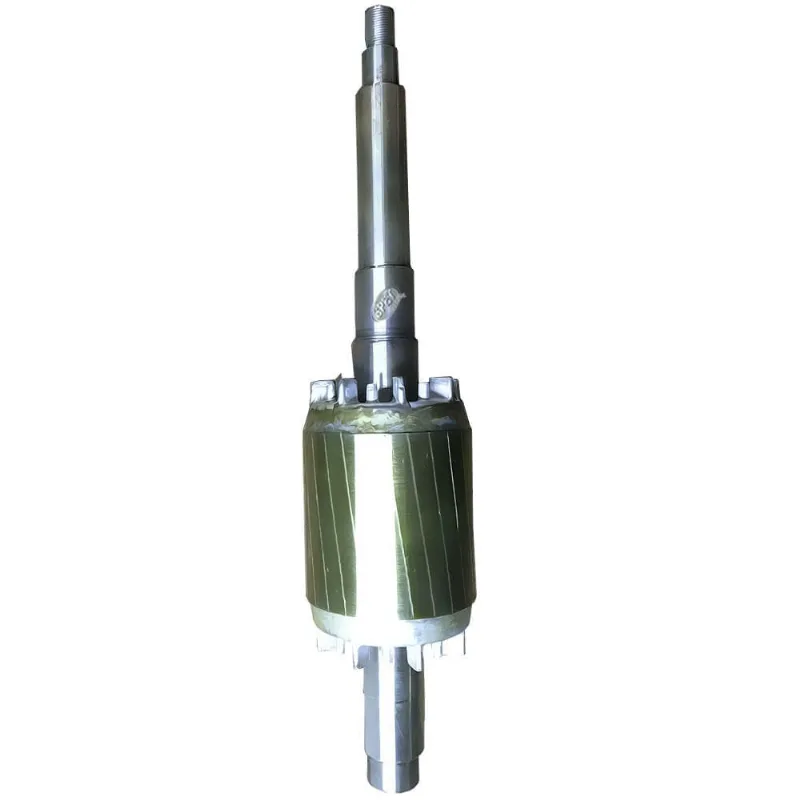 Induzido / Rotor 220v Pos 10 / Peça Bomba Sp6000 Induzido / Rotor 220v Pos 10