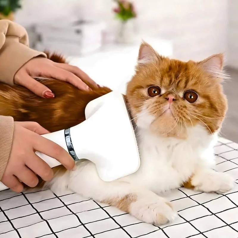 Secador 2 em 1 Elétrico Removedor de Pelos Para Pets 110v - B2