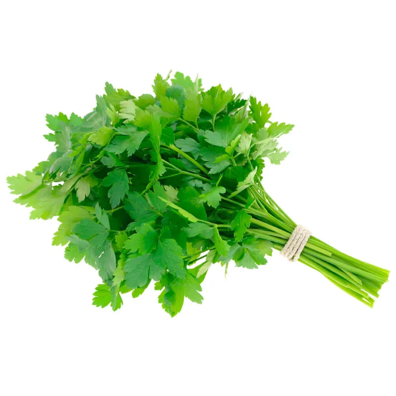 Salsa Molho Unid