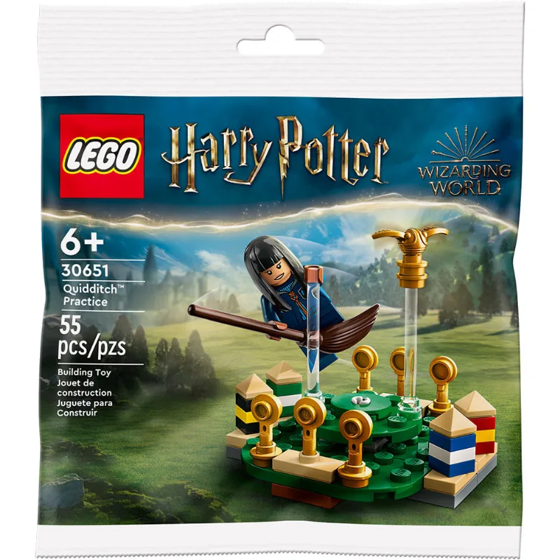 LEGO - Treino de Quadribol - Harry Potter - 30651