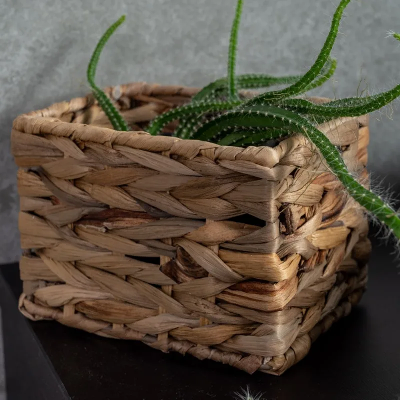 Cesta 14x11cm Grass Coisas Coisinhas
