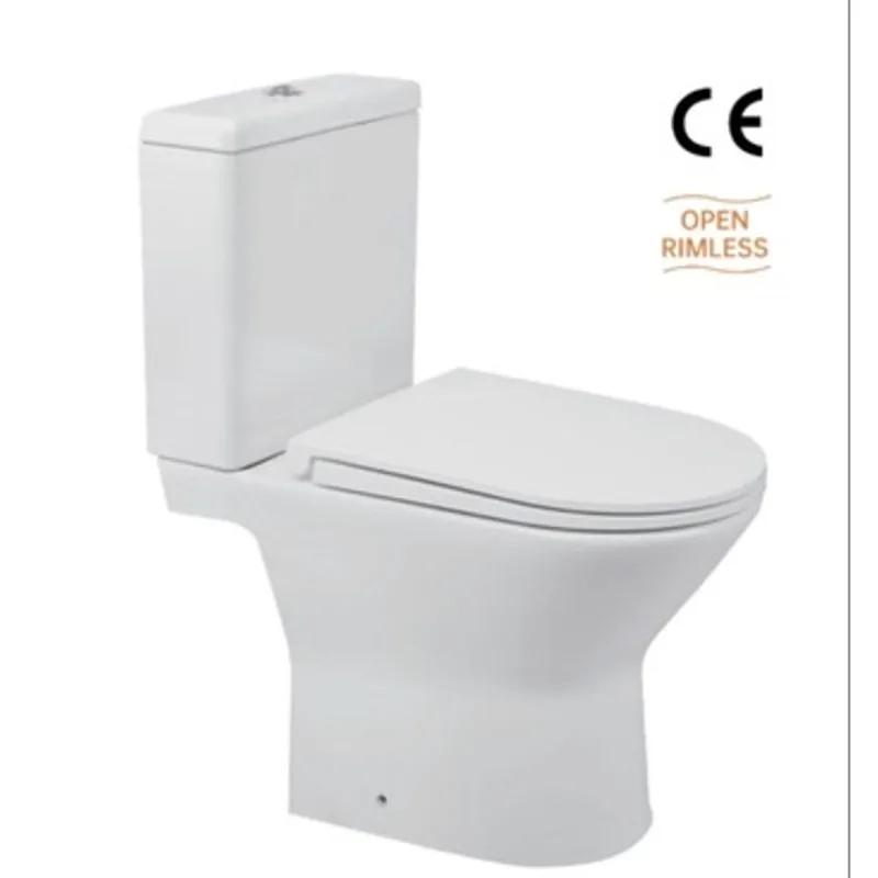 Vaso Sanitário Monobloco Flat Branco Alterna