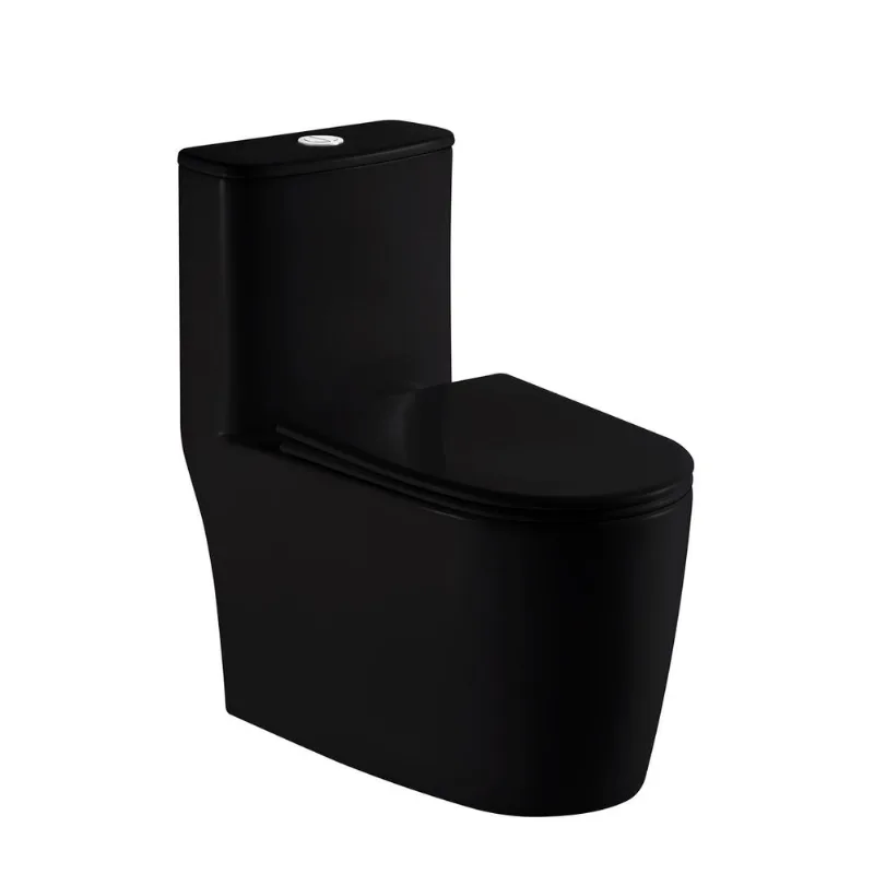 Vaso Sanitário Monobloco Orion Preto Alterna