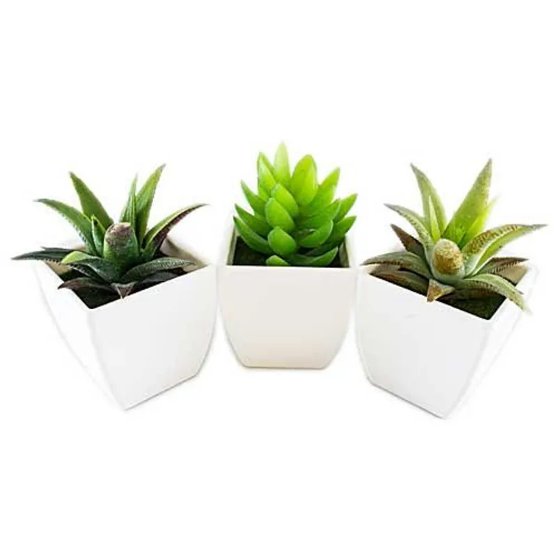 Conjunto De Plantas Artificiais Latcor 3 Peças Plástico Branco - BX-ASST1