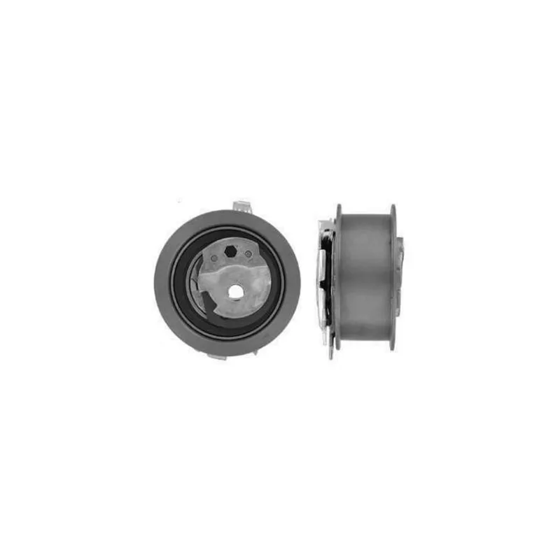 Tensor Correia Dentada Vkm11269 Skf