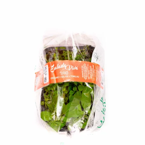 TRIO SALADA VIVA - SALADA - Hortifruti