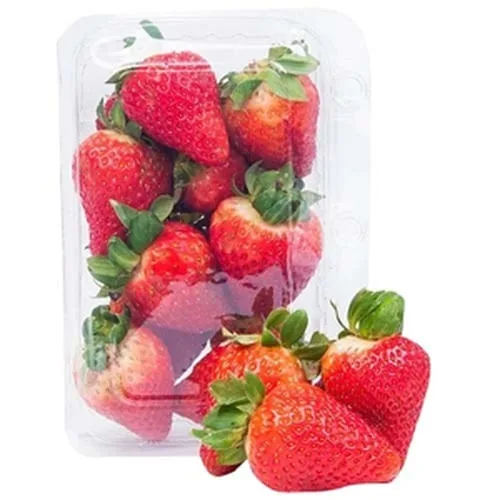 Morango Premium Orgânico 250g - Sem Marca - Hortifruti