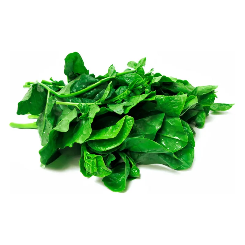 Espinafre Agro Vida Hidropônico UnidPacote 100g - Agro Vida