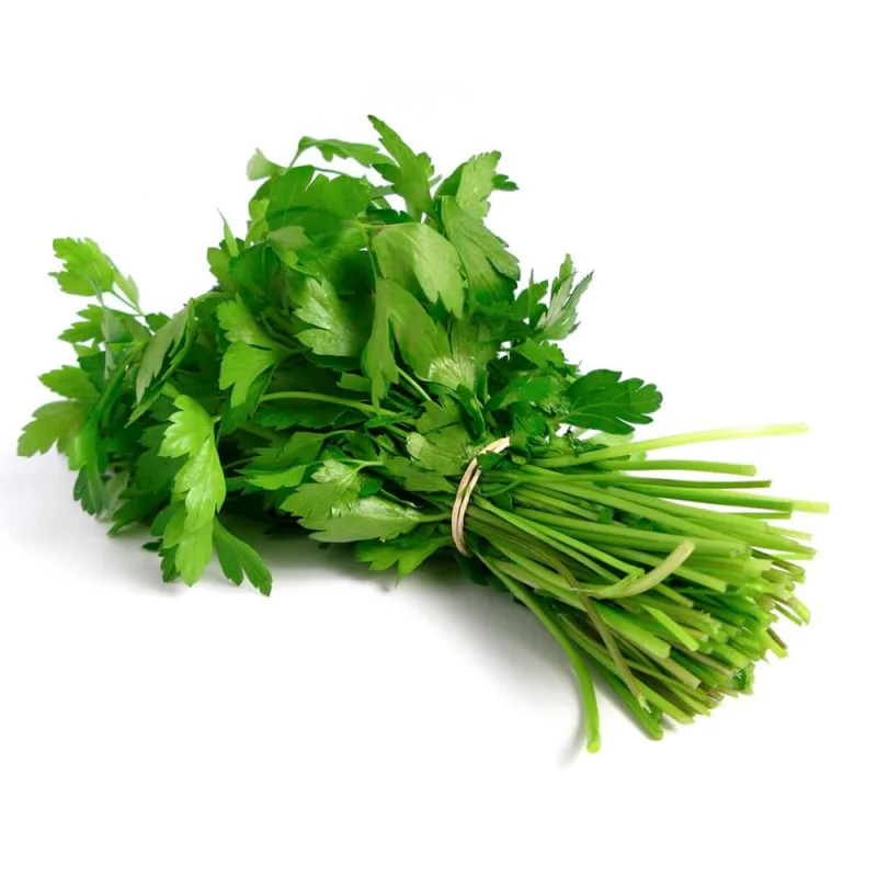 Salsa Agro Vida Hidropônica - Agro Vida