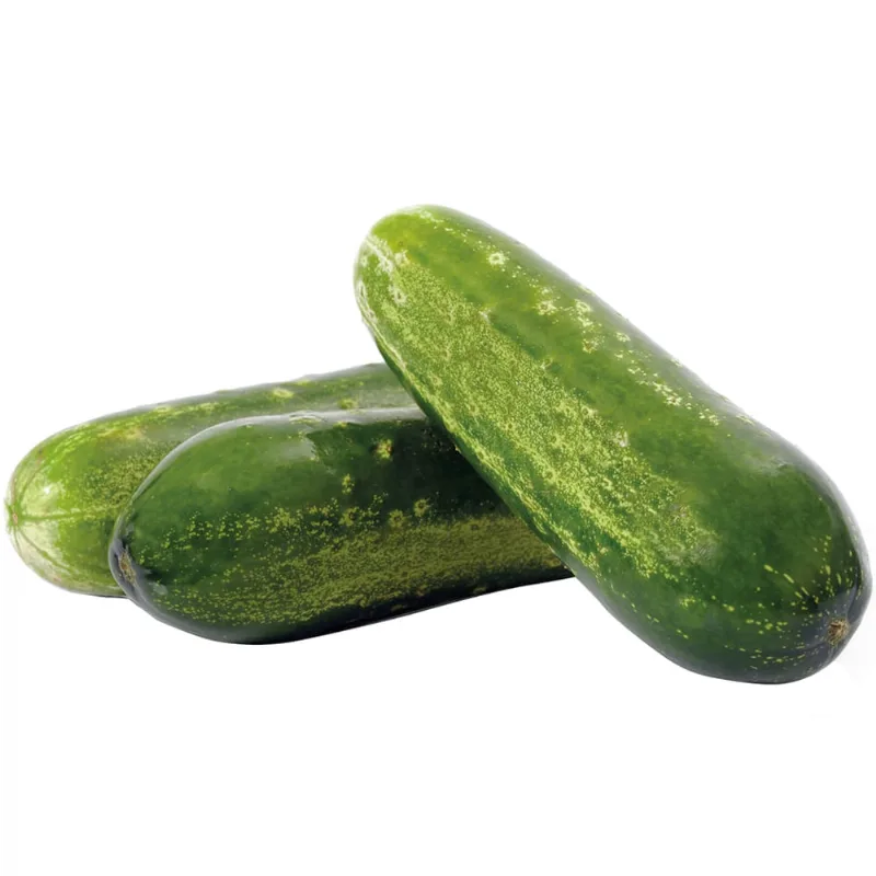 PEPINO CAIPIRA ORG CAPELA 400G-BJ