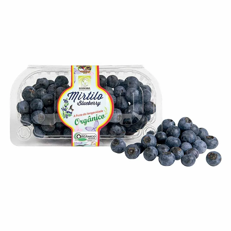Mirtilo Blueberry Orgânico 100g