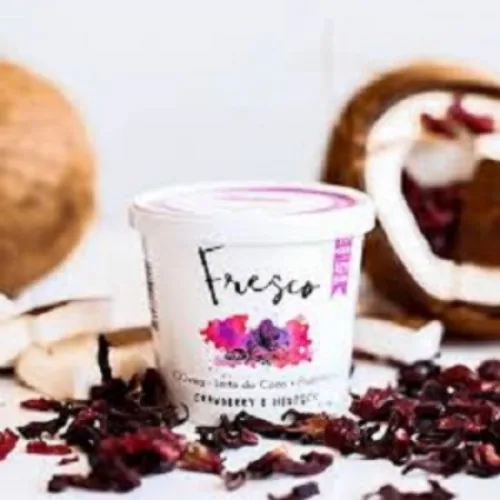 Iogurte Cranberry/hibisco 110g Fresco - FRESCO - Frios E Laticínios