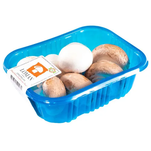 COGUMELO DUO LOMAN 250G