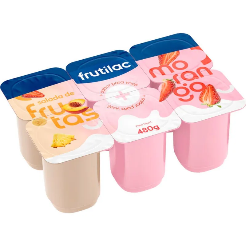Bebida Láctea Frutilac Salada de Frutas 480g