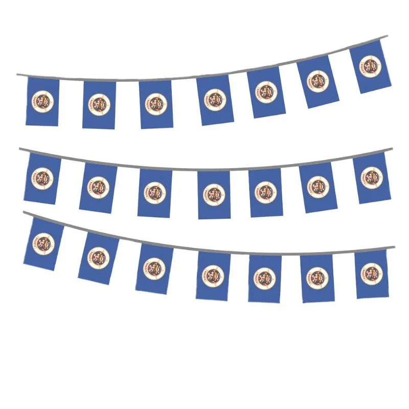 Flag Bunting Minnesota State Minnesota State Mini Bandeiras De Poliéster 14x21cm