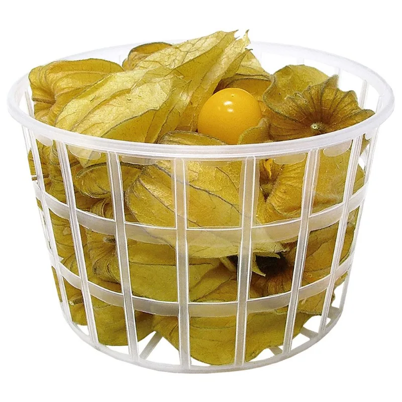 Physalis 100g