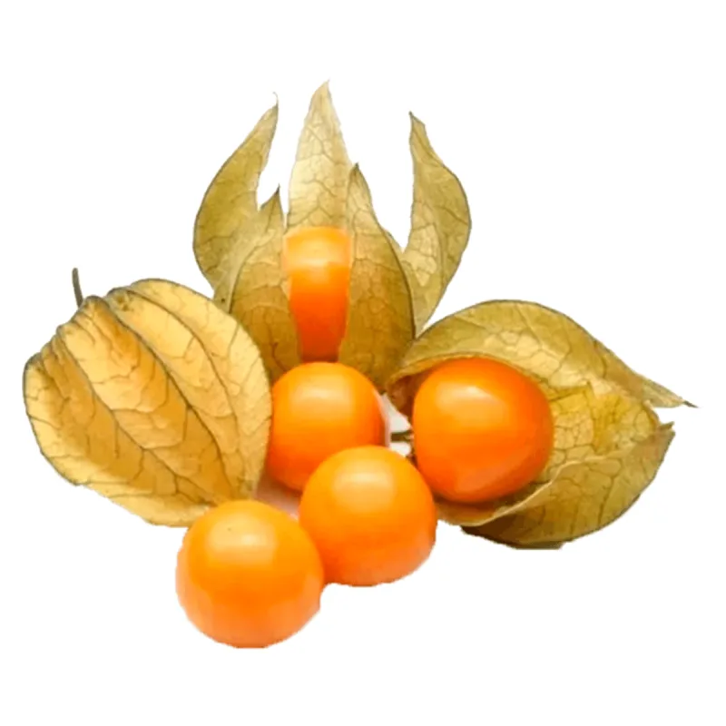 PHYSALIS FRESCO 100G - FRESCO - Hortifruti