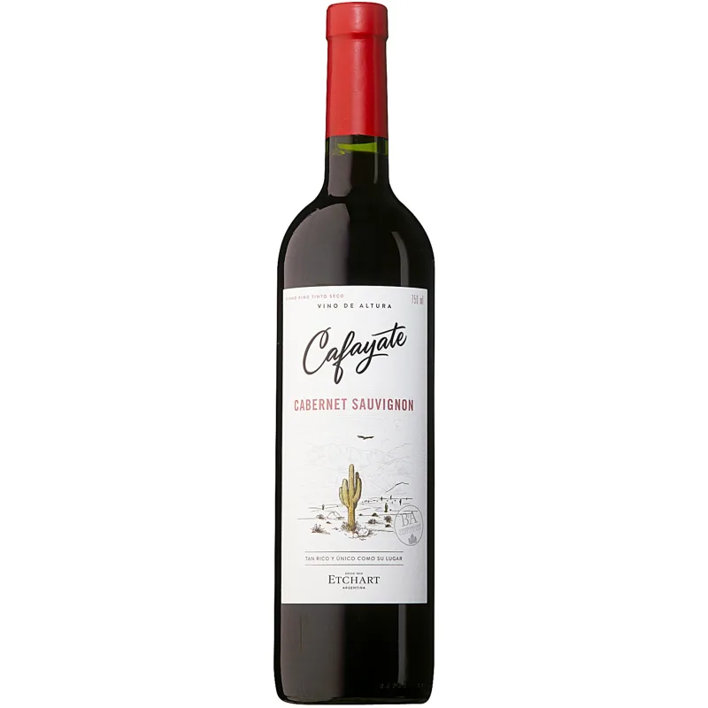 Bodegas Etchart Cafayate Cabernet Sauvignon Argentino Vinho Tinto 750ml - Cafayate - Bebidas