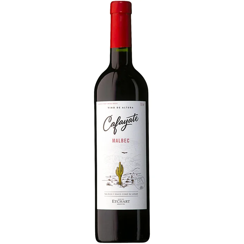 Bodegas Etchart Cafayate Malbec Argentino Vinho Tinto 750ml - Bodegas Etchart - Bebidas