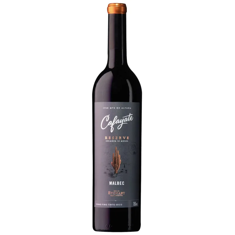 Bodegas Etchart Cafayate Malbec Argentino Vinho Tinto Seco Reserva 750ml - Cafayate - Bebidas