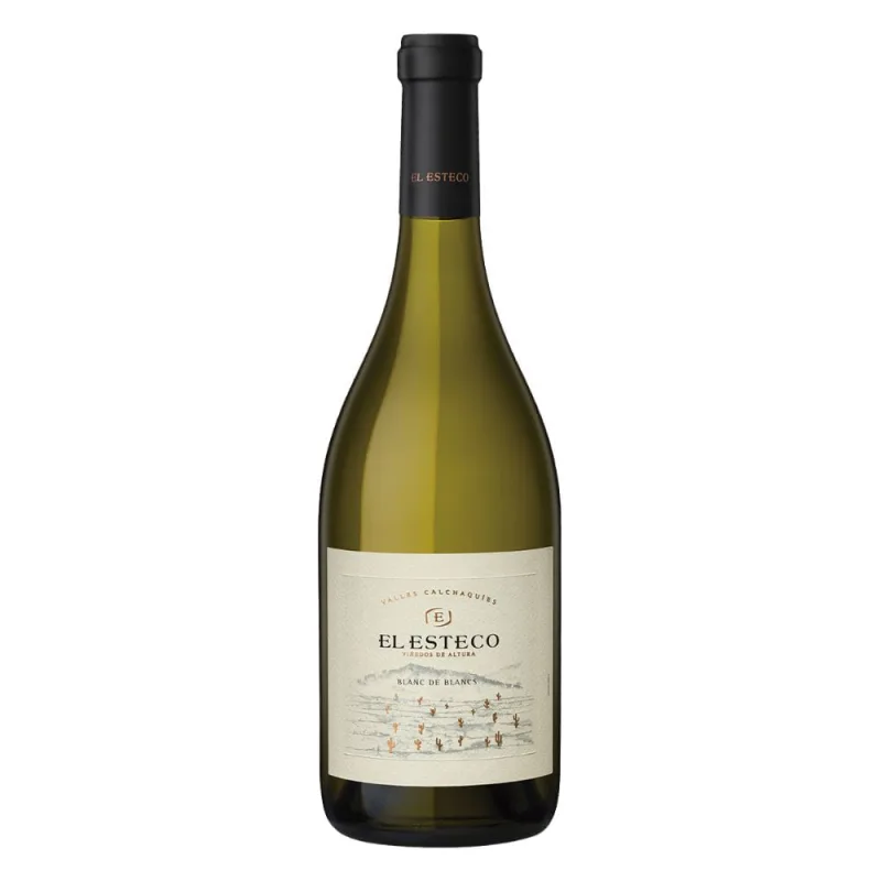 Vinho Argentino El Esteco Blanc de Blancs 750ml - El Esteco - Adega
